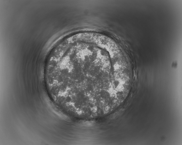 X0000115630247200912221255