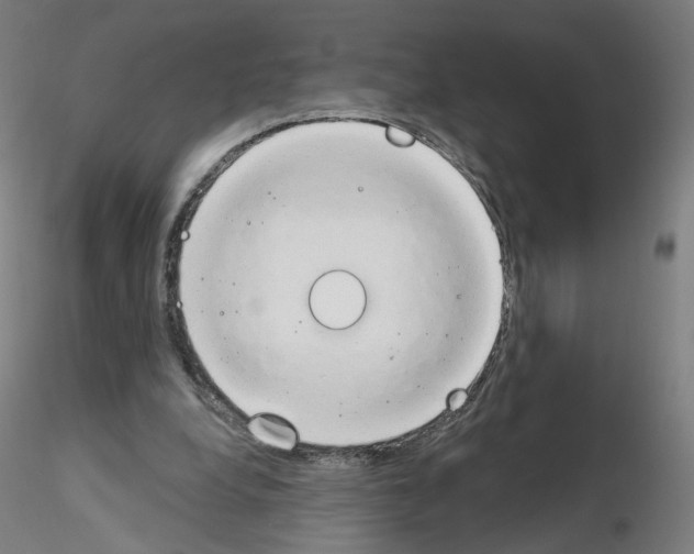 X0000115630248200912221255