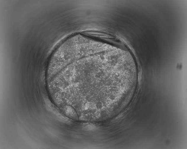 X0000115630249200912221255