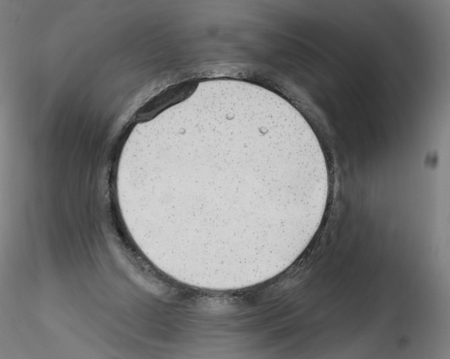 X0000115630250200912221255