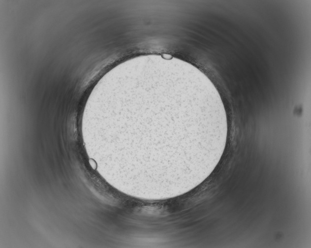 X0000115630251200912221255