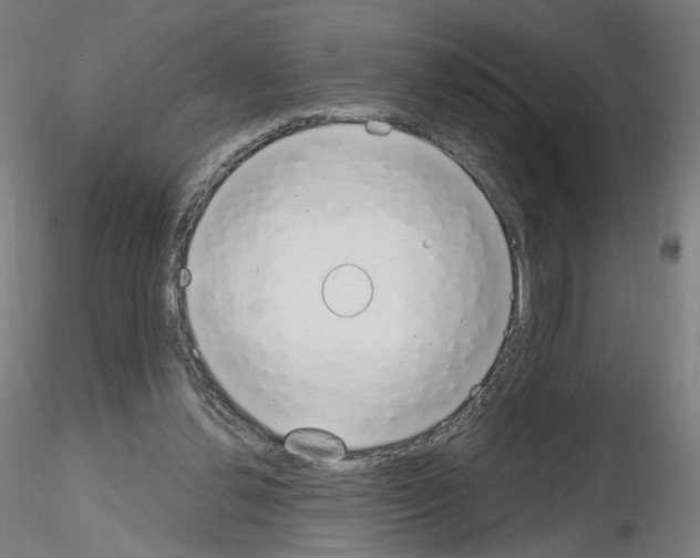 X0000115630252200912221255