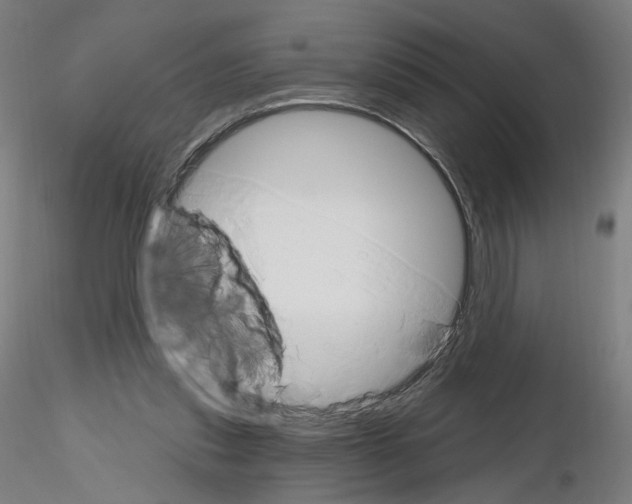 X0000115630253200912221255