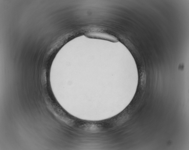X0000115630254200912221255