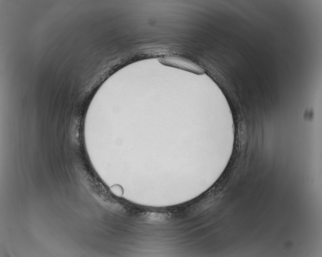 X0000115630255200912221255