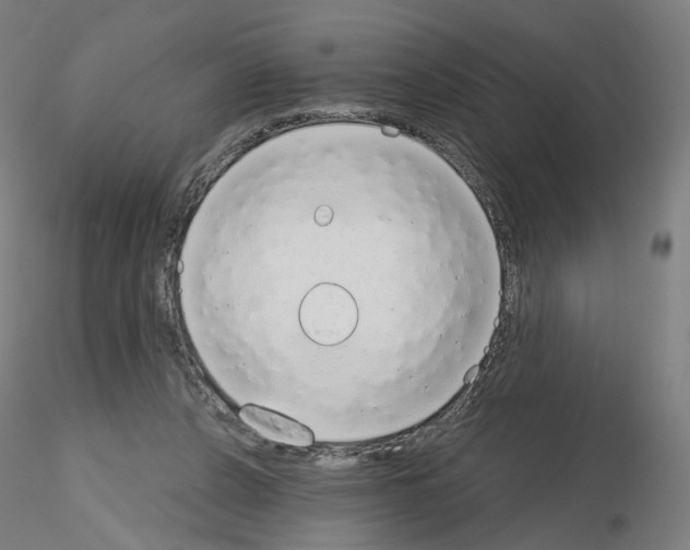 X0000115630256200912221255