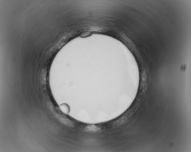 X0000115630257200912221255