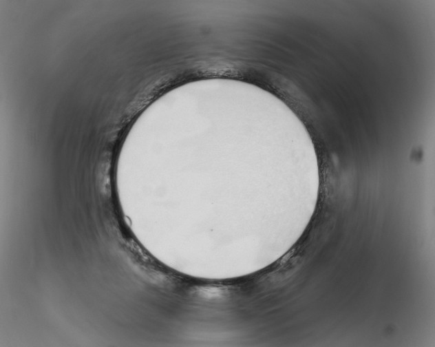 X0000115630259200912221255