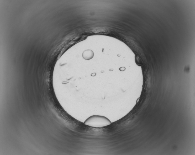 X0000115630260200912221255