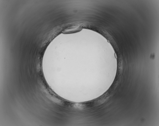 X0000115630261200912221255