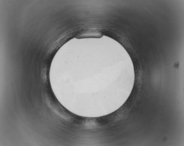 X0000115630262200912221255