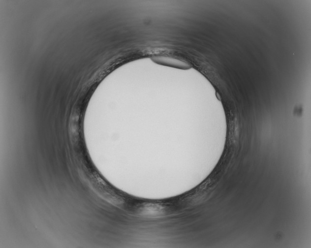 X0000115630263200912221255