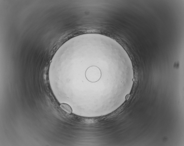 X0000115630264200912221255