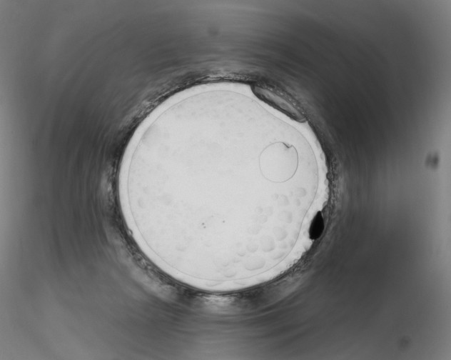 X0000115630265200912221255