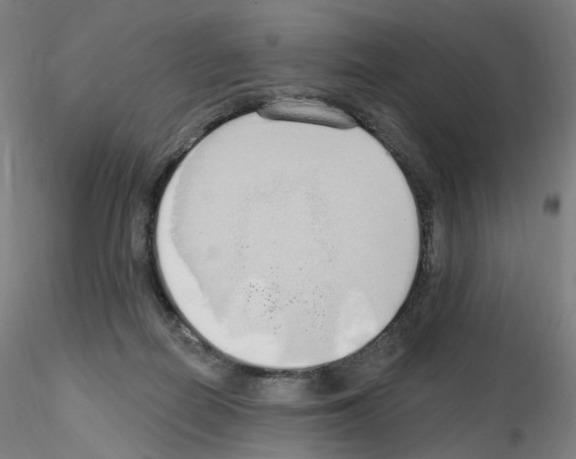 X0000115630266200912221255