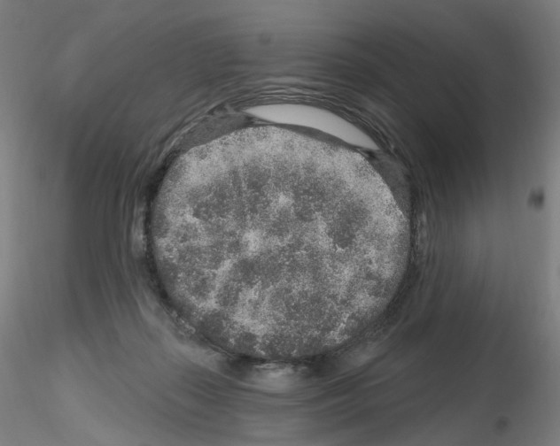 X0000115630267200912221255