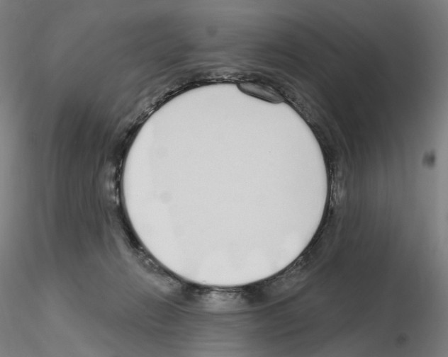 X0000115630270200912221255