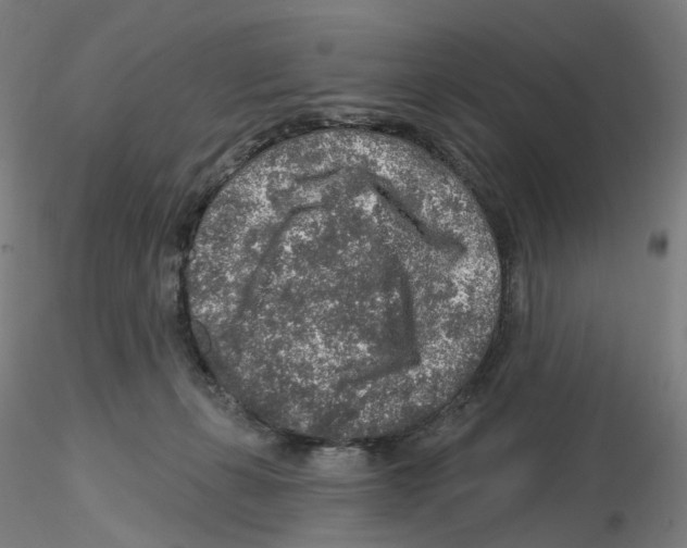 X0000115630271200912221255