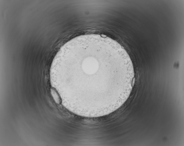 X0000115630272200912221255