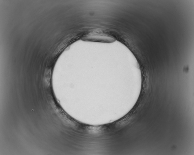 X0000115630273200912221255