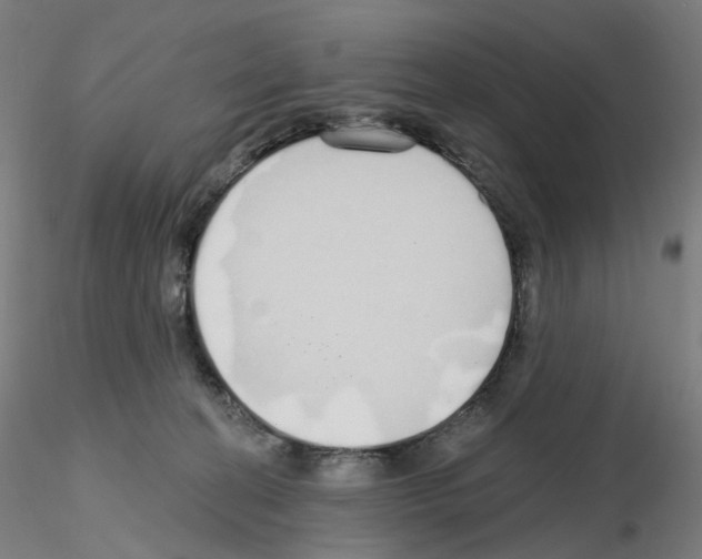 X0000115630274200912221255