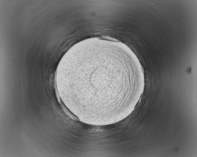X0000115630276200912221255