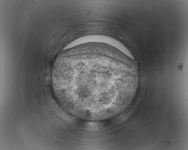 X0000115630277200912221255