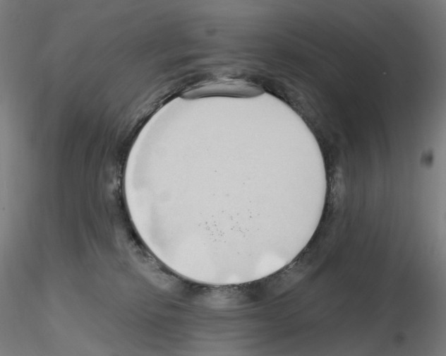 X0000115630278200912221255