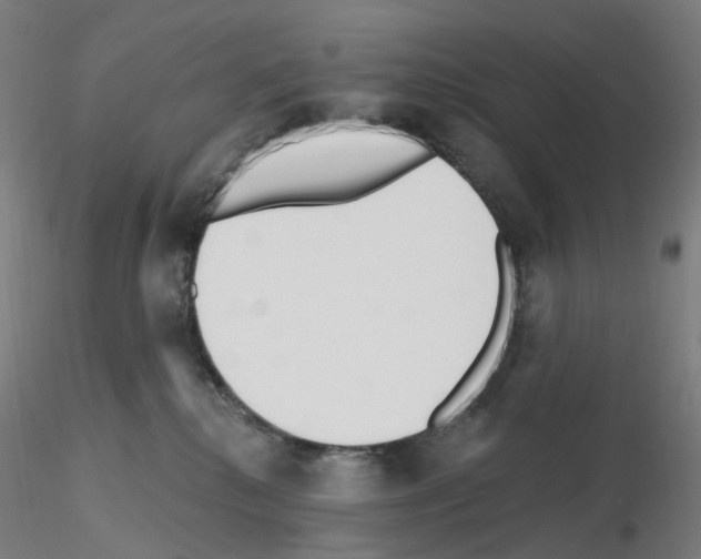 X0000115630280200912221255