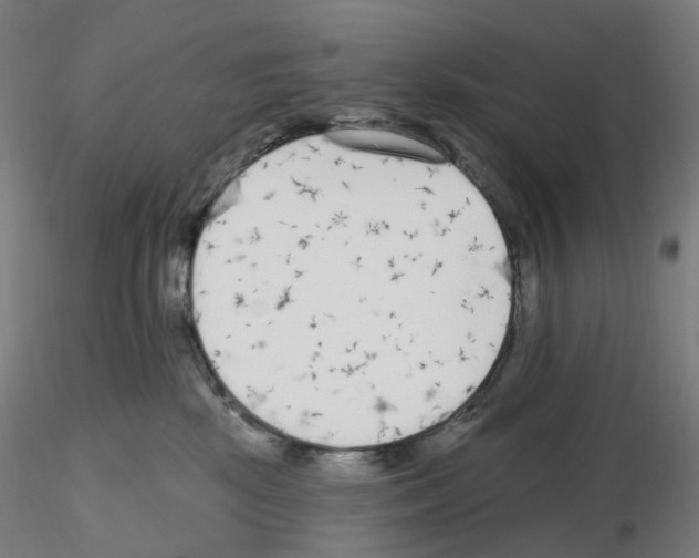 X0000115630281200912221255