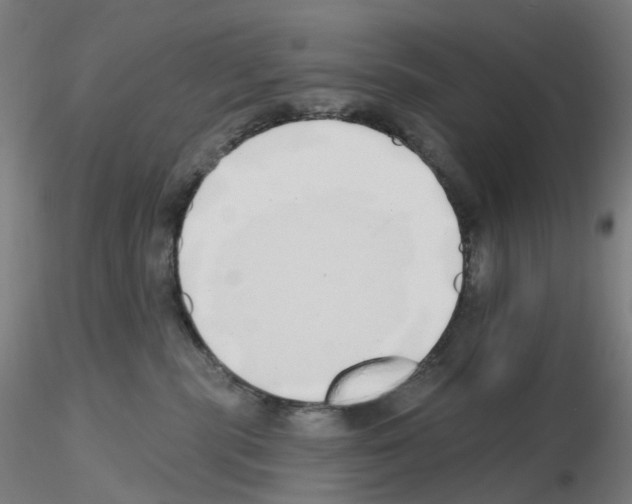 X0000115630283200912221255
