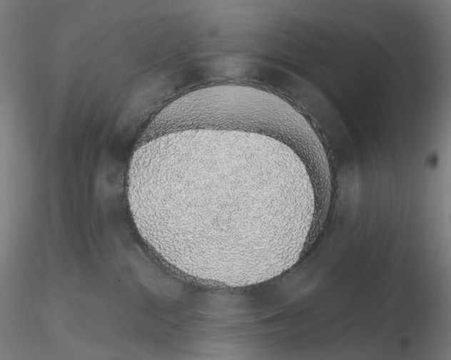 X0000115630284200912221255