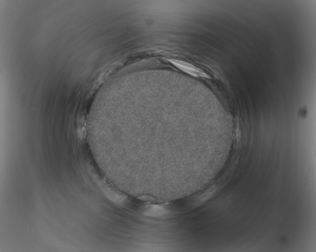 X0000115630285200912221255