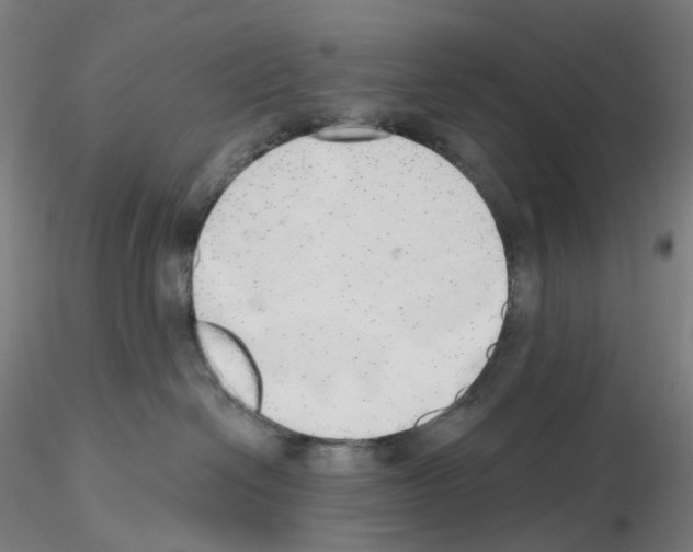 X0000115630286200912221255