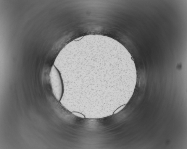 X0000115630287200912221255