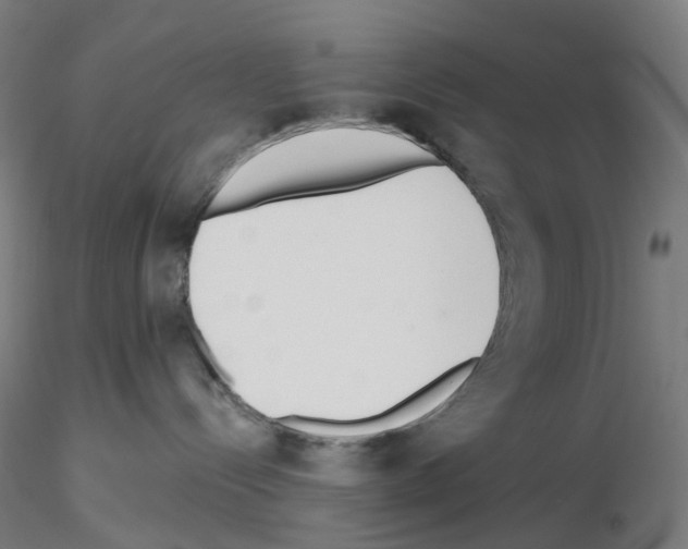 X0000115630288200912221255