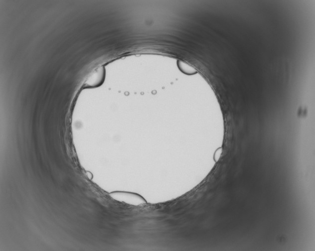 X0000115630289200912221255