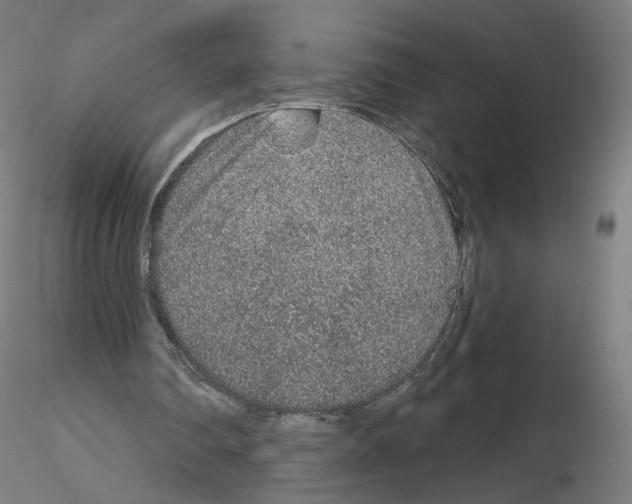 X0000115630290200912221255