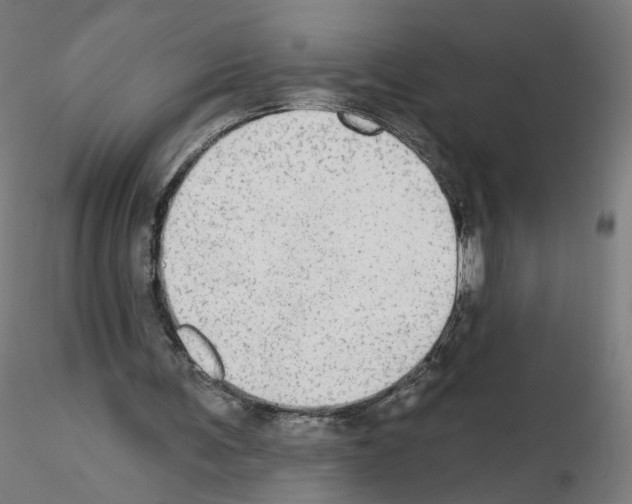 X0000115630291200912221255