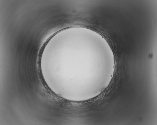 X0000115630292200912221255