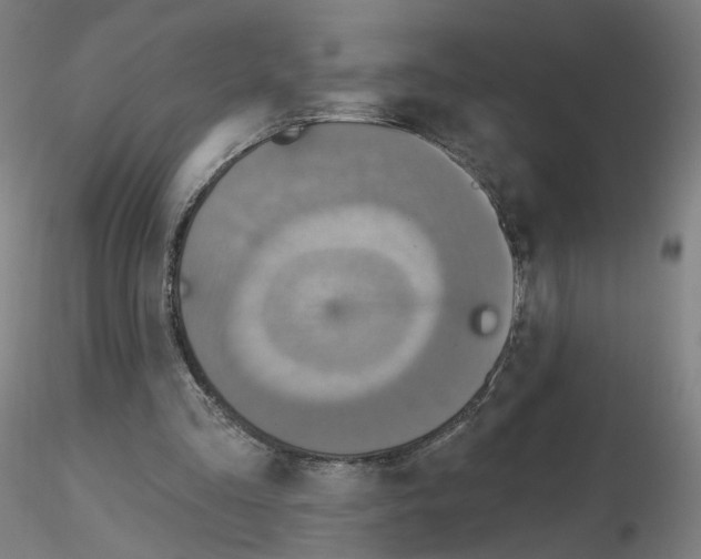 X0000115630293200912221255