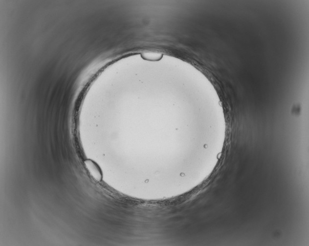 X0000115630294200912221255
