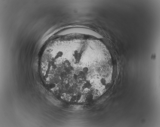 X0000115630295200912221255