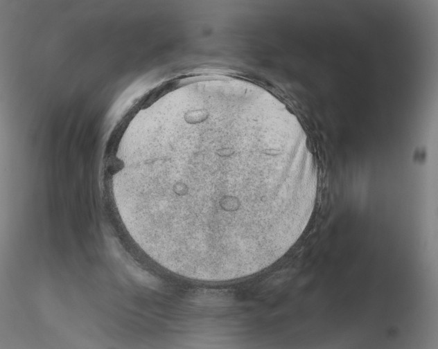 X0000115630296200912221255