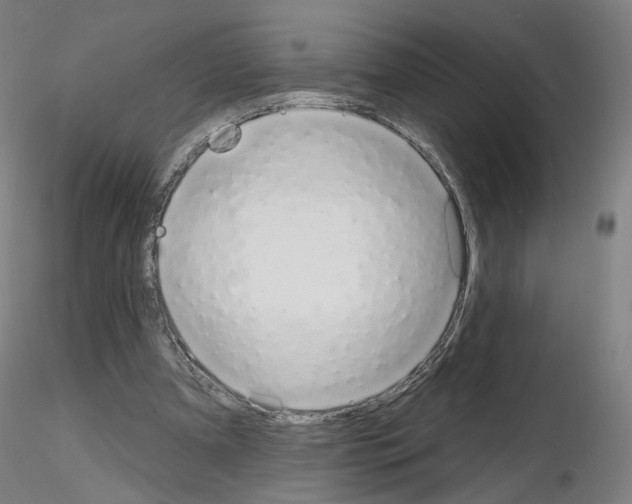 X0000115630297200912221255