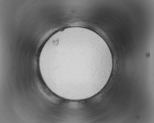 X0000115630298200912221255