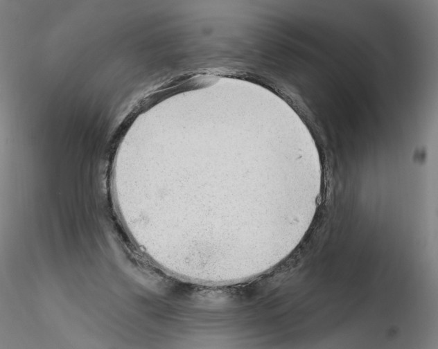 X0000115630299200912221255