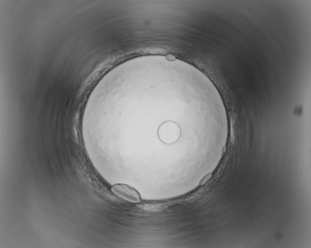 X0000115630300200912221255