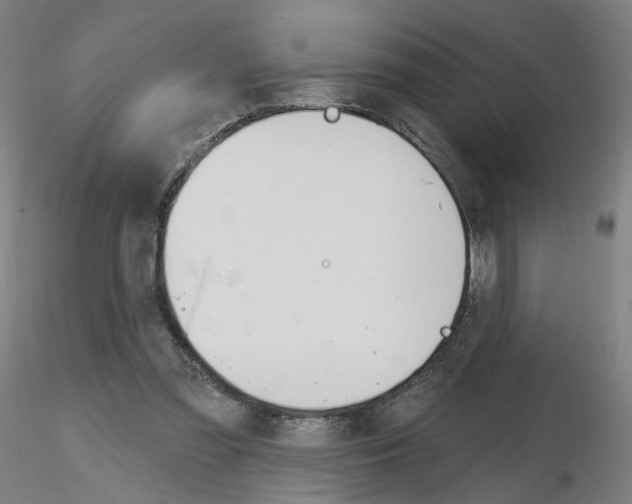 X0000115630301200912221255