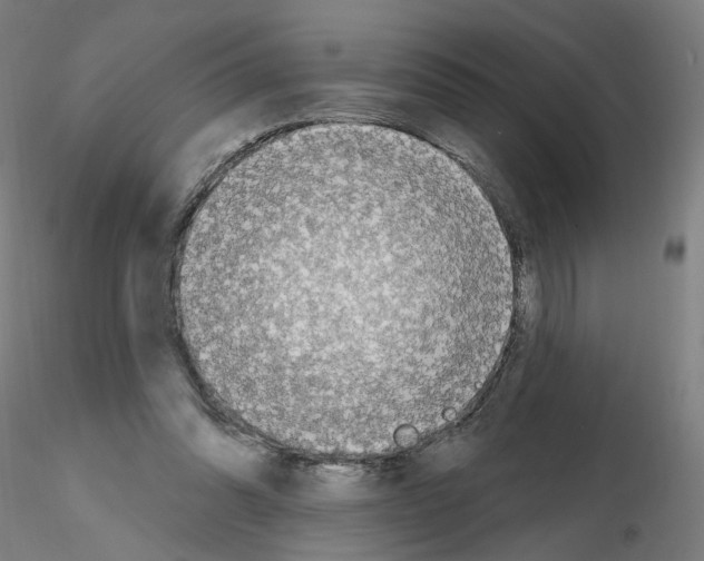 X0000115630302200912221255